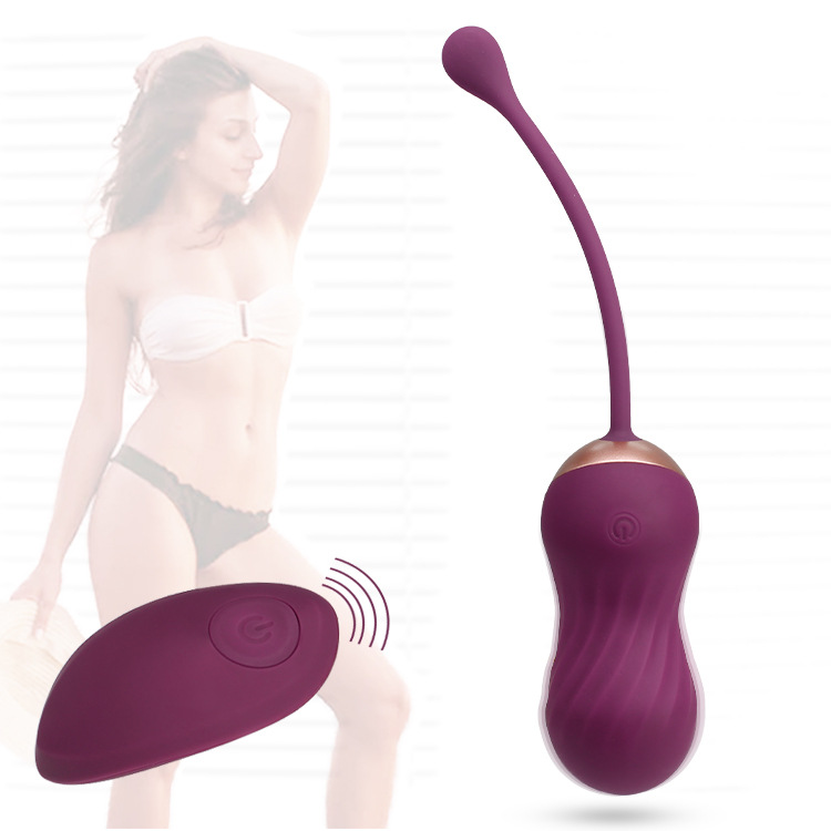 Remote Control Features