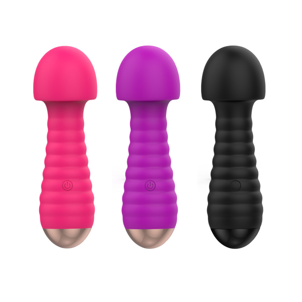 Vibrating Wand 3