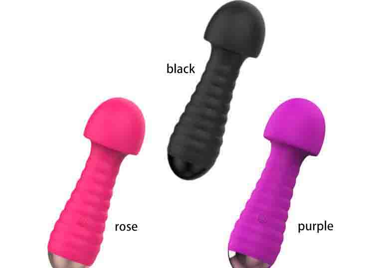 Vibrating Wand 5