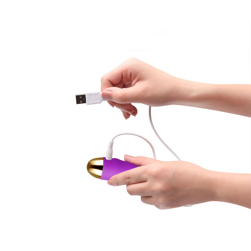 Famous Wireless Remote Control  Waterproof Vibrating Love Egg Companies, Product