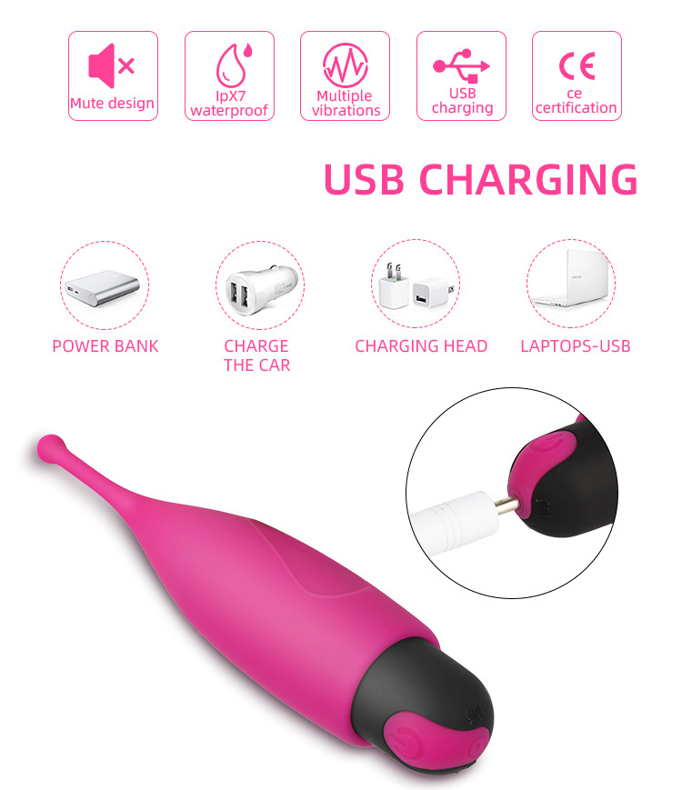 Vibrator Image 2