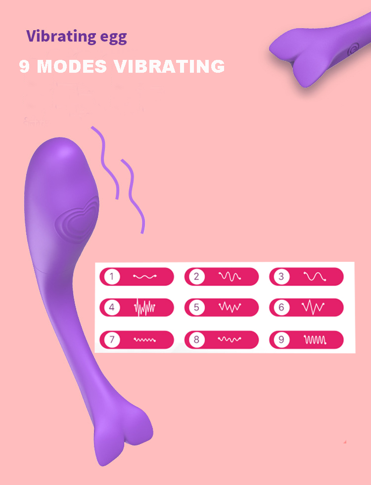 Vibrator Image 2