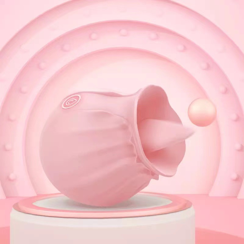 Rose Toy Charging
