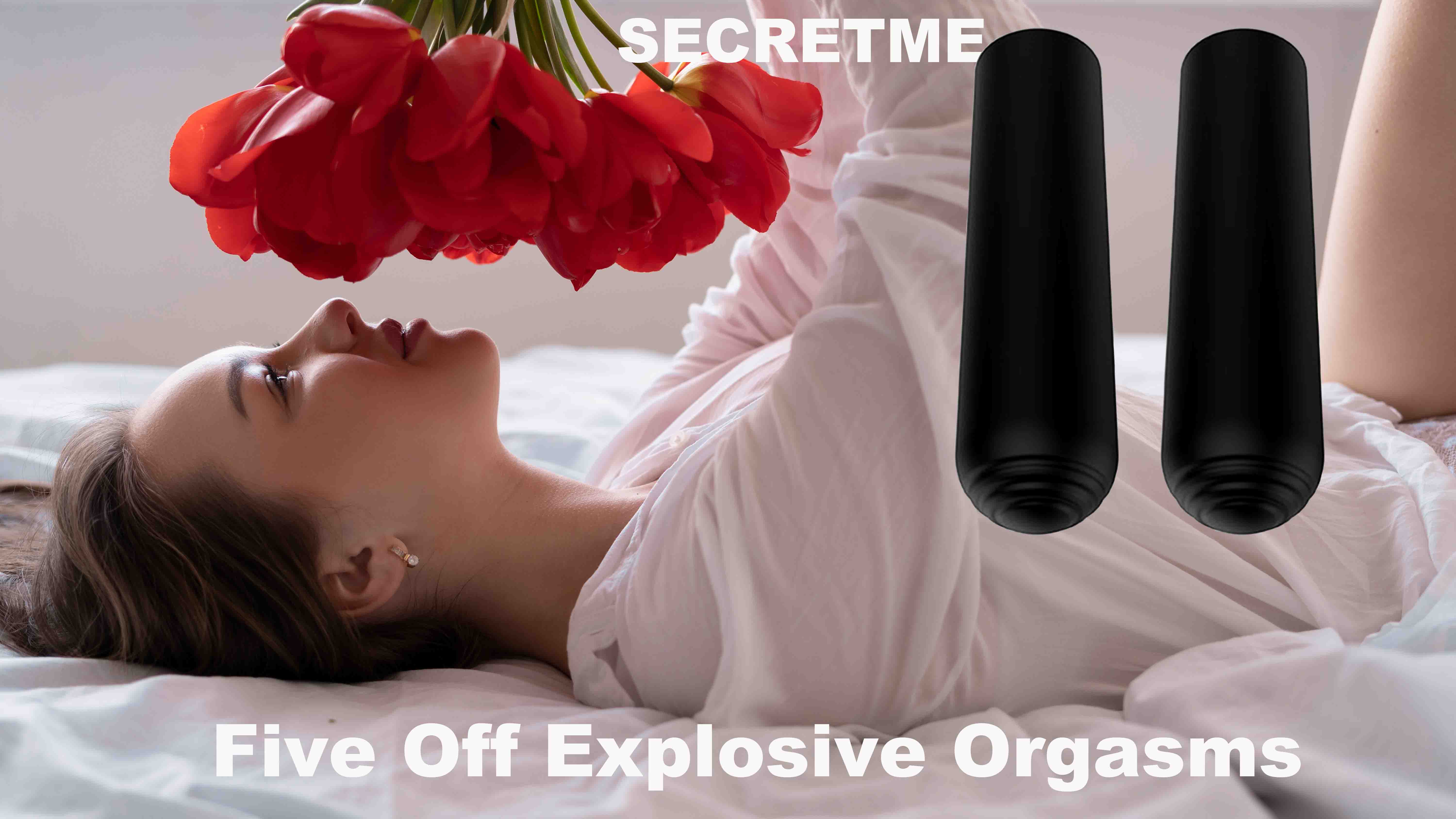 Bullet Vibrator 1
