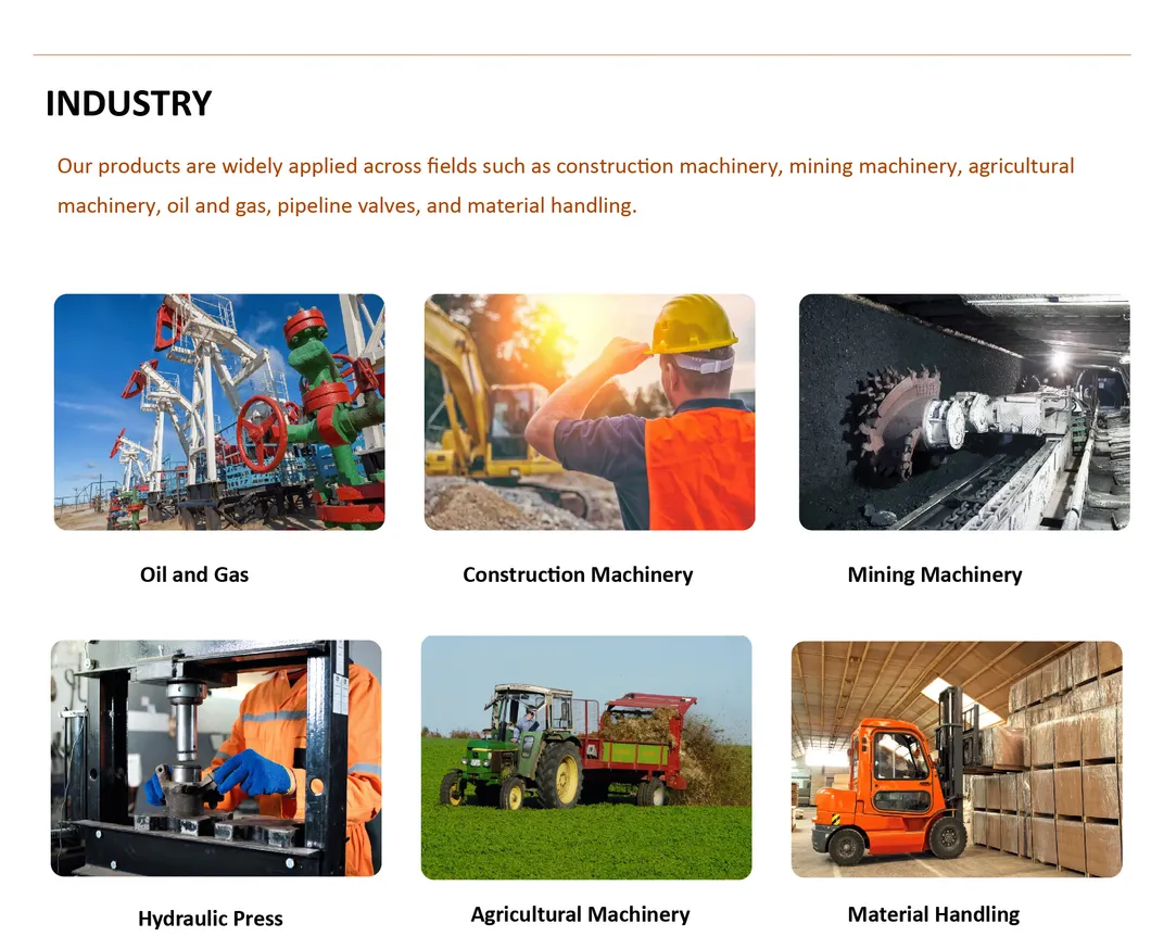 PTFE Sealing Rings 4