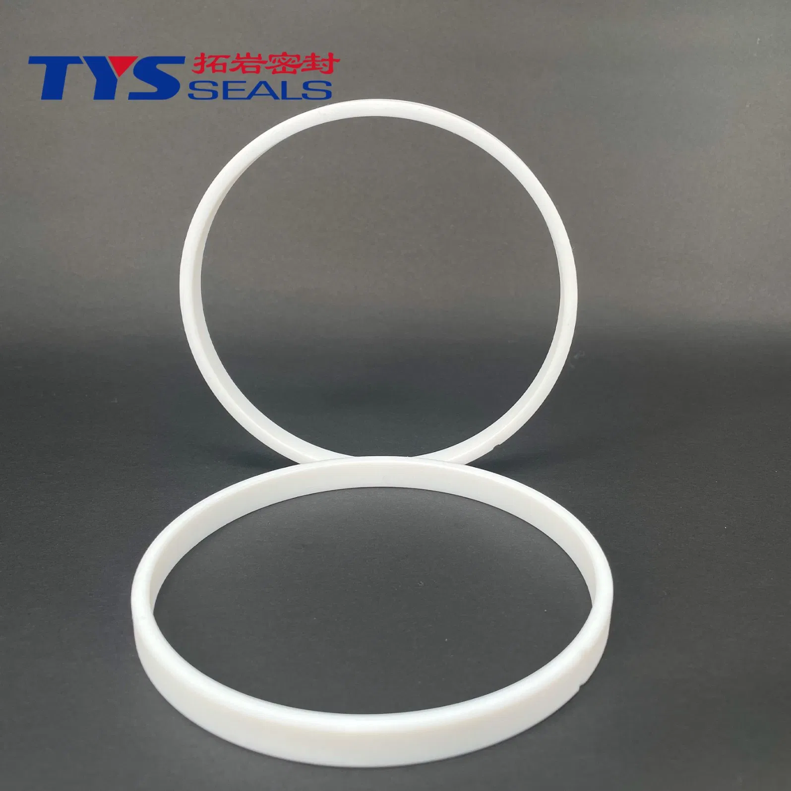 Premium PTFE Sealing Rings for Marine Corrosion Resistance