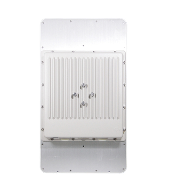 Integrated Wireless Base Station with Flexible Network Modes Supporting Ptp and Ptmp