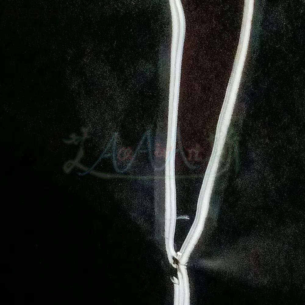 Inflatable Planetarium Dome 2