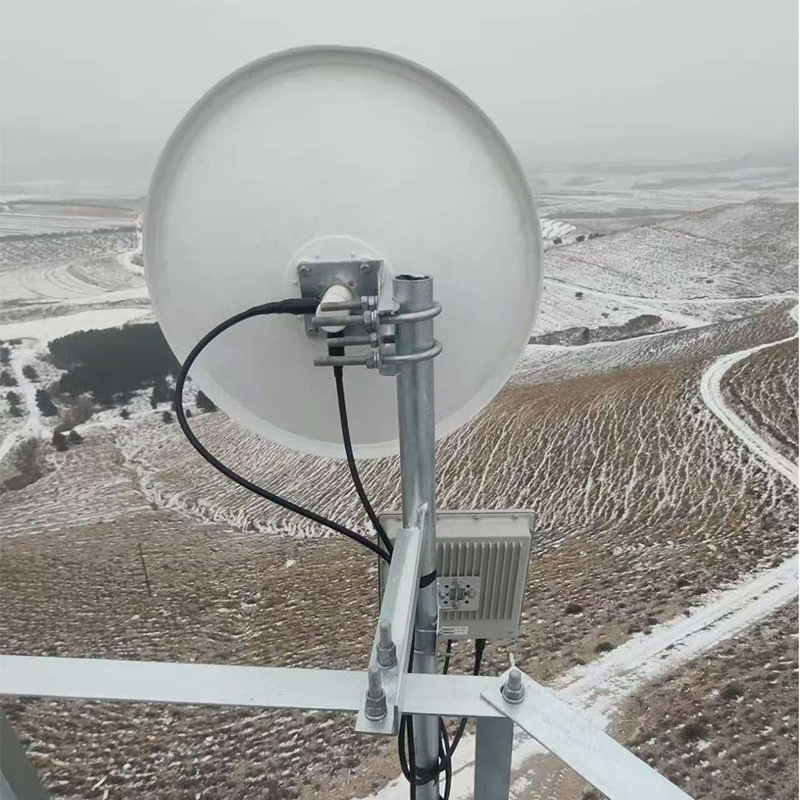 Outdoor IP68 Packaged Carrier-Grade Wireless Base Station with Surge Protection