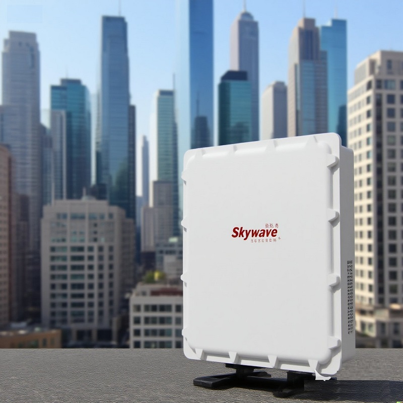 Outdoor Carrier-Grade Wireless Base Station with 128MB DDR2 Memory