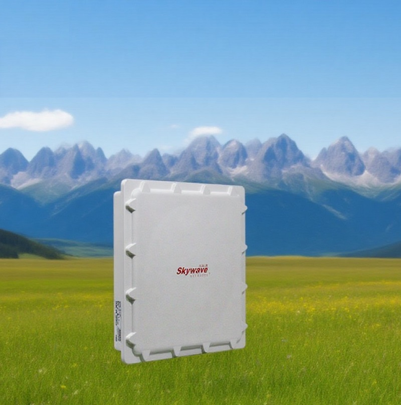 304 Sainless Steel Material, IP68 Encapsulation Outdoor Carrier-Grade Wireless Base Station