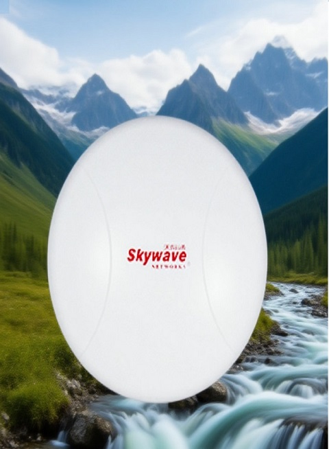 SW8000NBI Outdoor Base Station