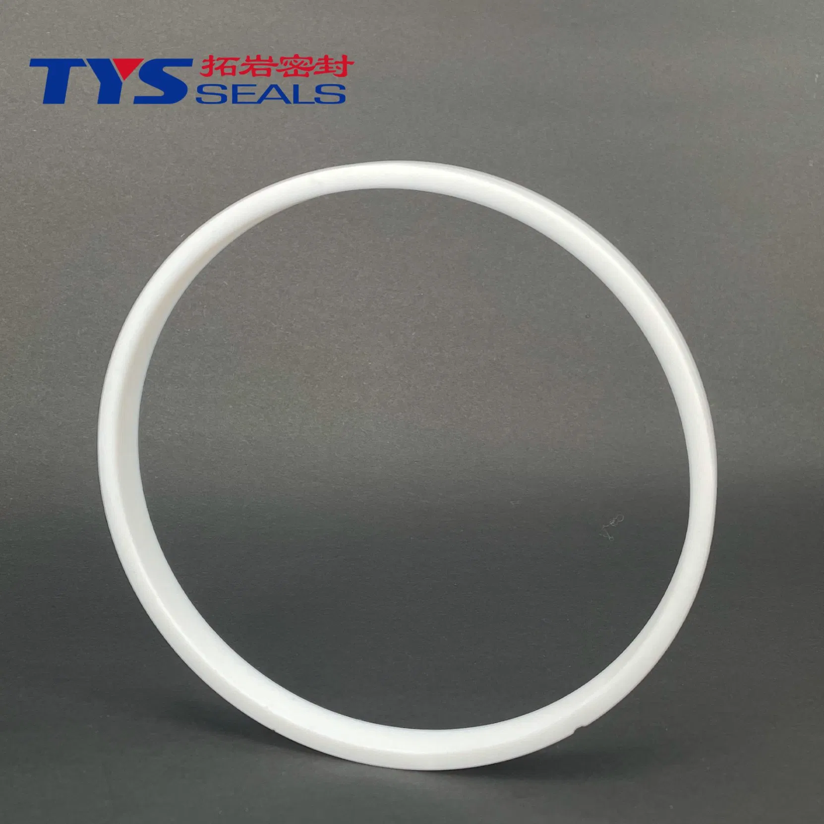 Premium PTFE Sealing Rings for Marine Corrosion Resistance