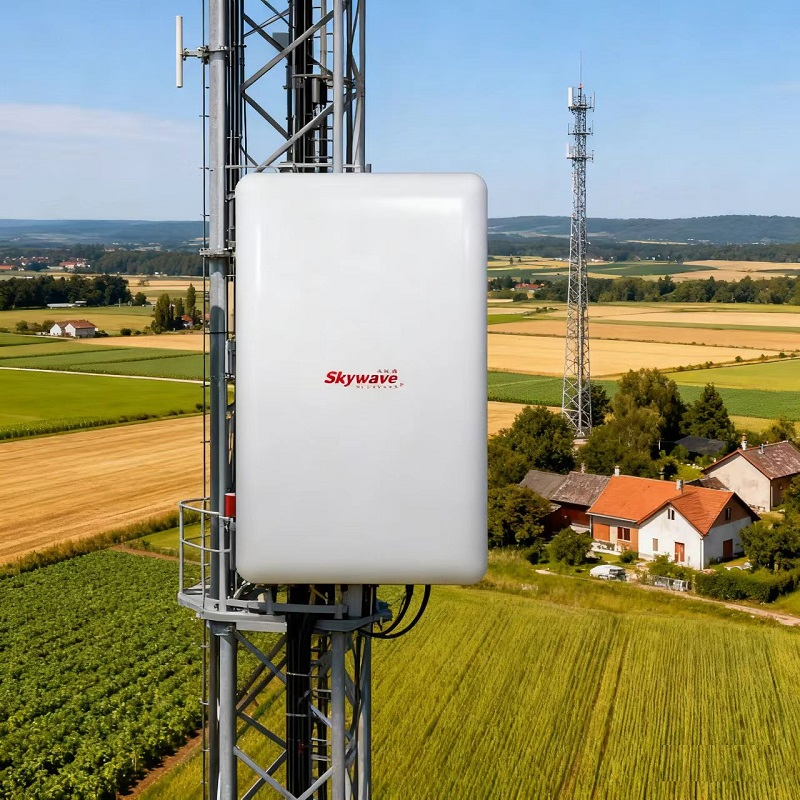 Integrated Wireless Base Station with Flexible Network Modes Supporting Ptp and Ptmp