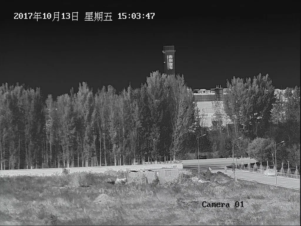 Forest Fire Prevention