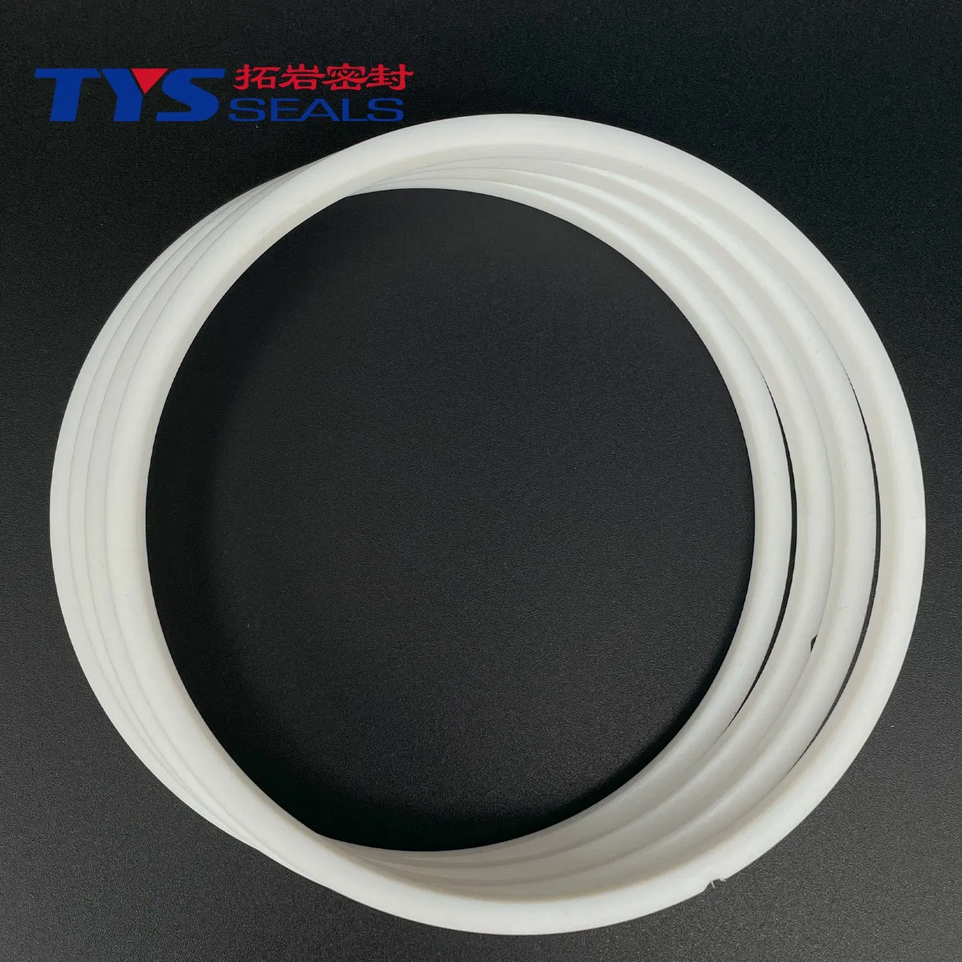 Premium PTFE Sealing Rings for Marine Corrosion Resistance