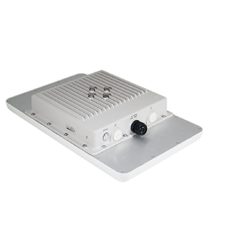 Integrated Wireless Base Station with Flexible Network Modes Supporting Ptp and Ptmp