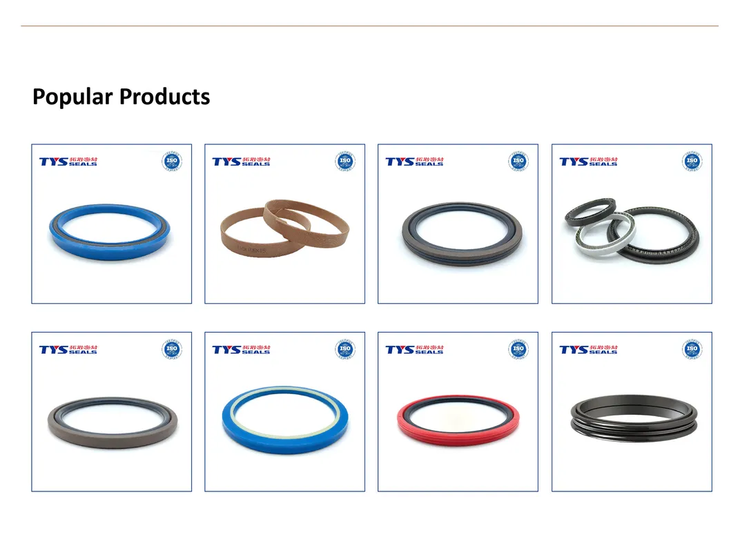 PTFE Sealing Rings 2