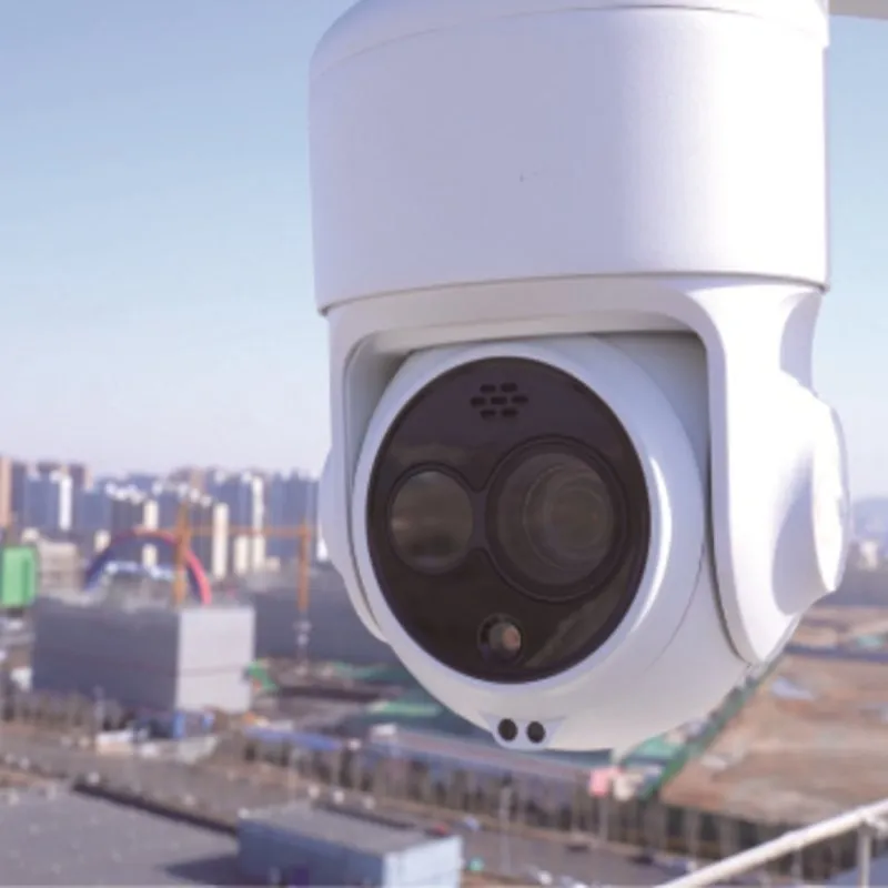 Park Perimeter Monitoring