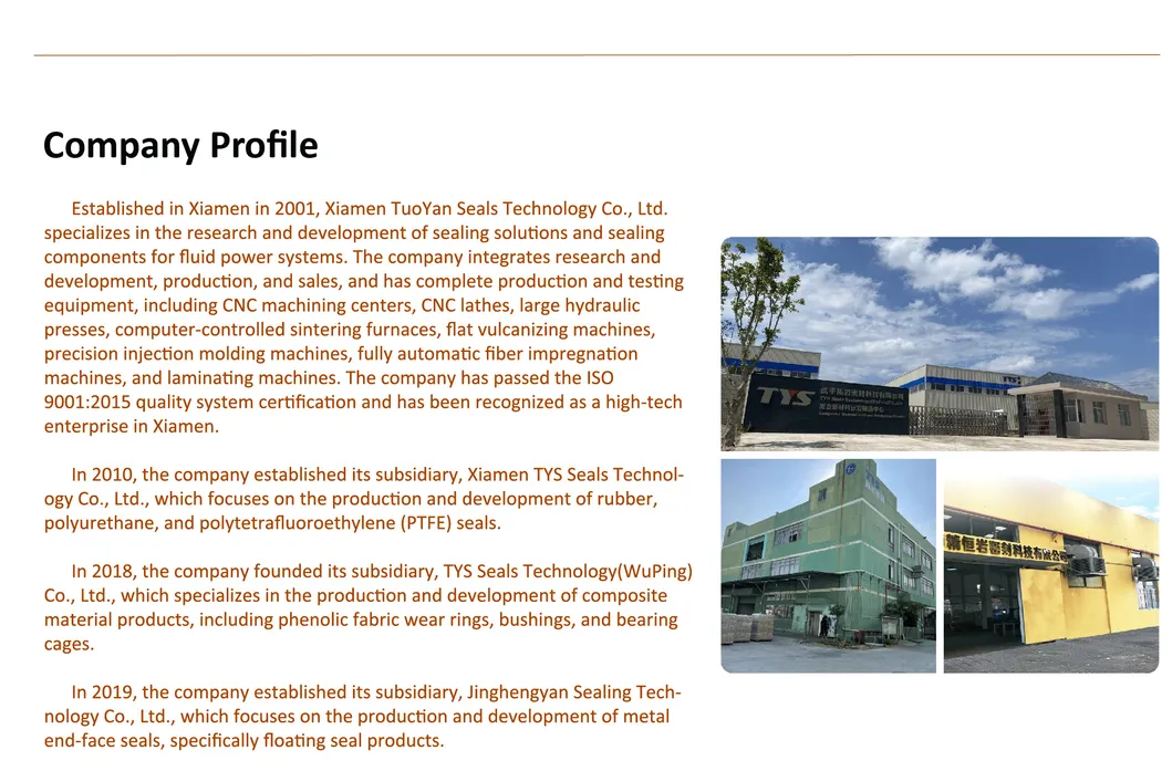 PTFE Sealing Rings 1