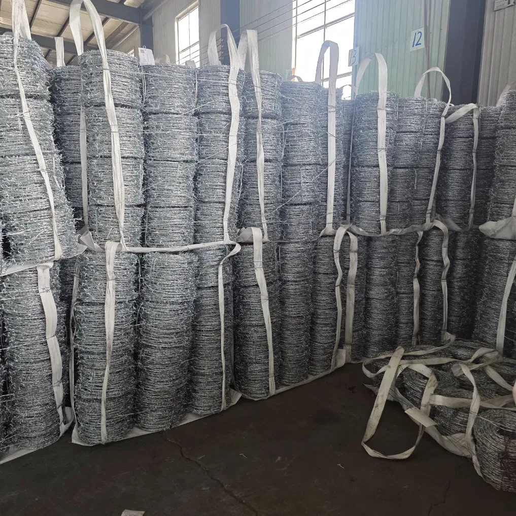 Marine-Grade Anti-Corrosion Coastal Protection Barbed Wire
