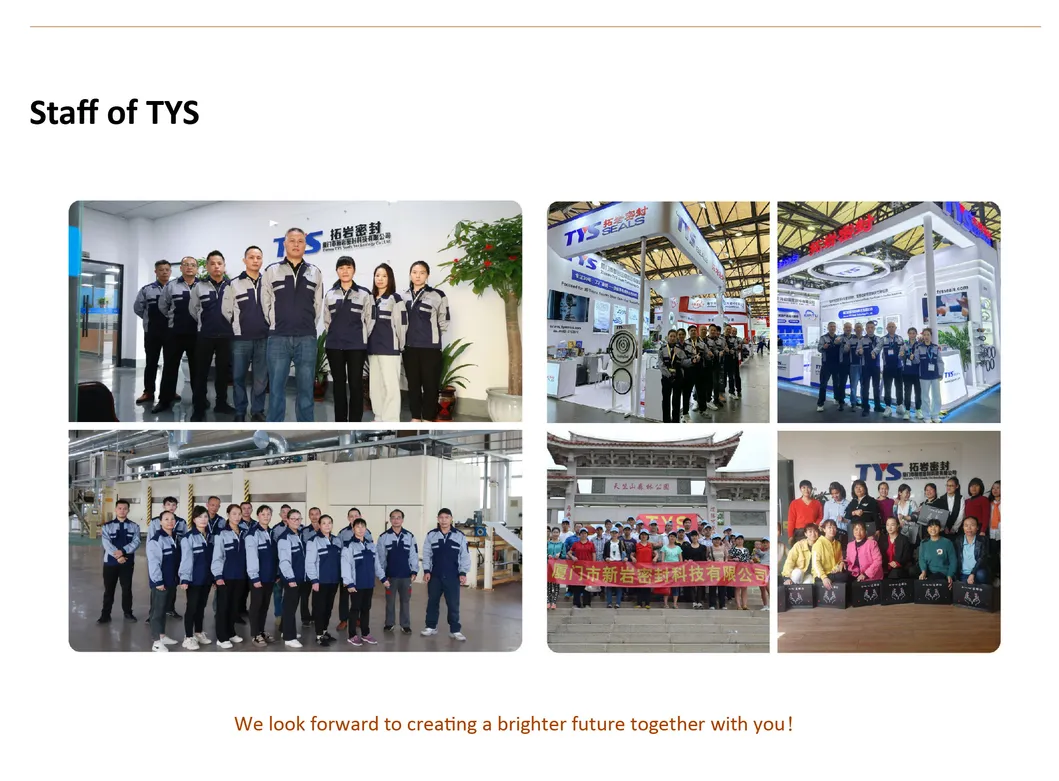 PTFE Sealing Rings 7