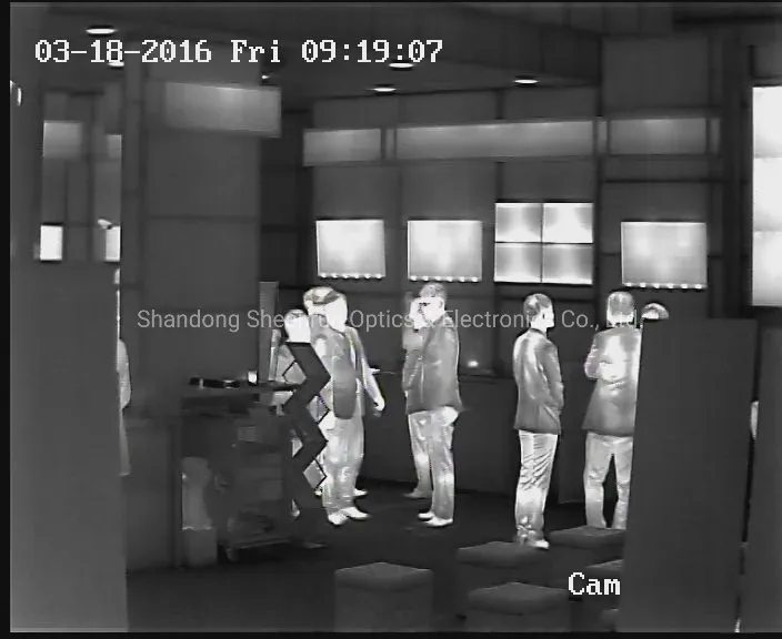 Thermal Imaging Analysis