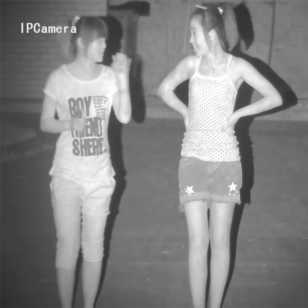 Monitoring System Detail