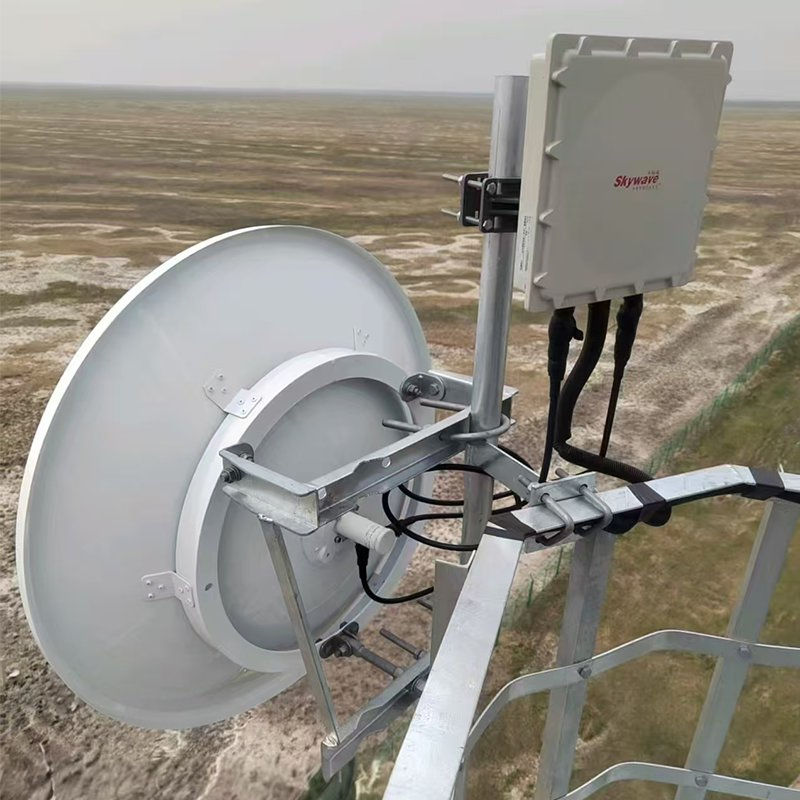 304 Sainless Steel Material, IP68 Encapsulation Outdoor Carrier-Grade Wireless Base Station