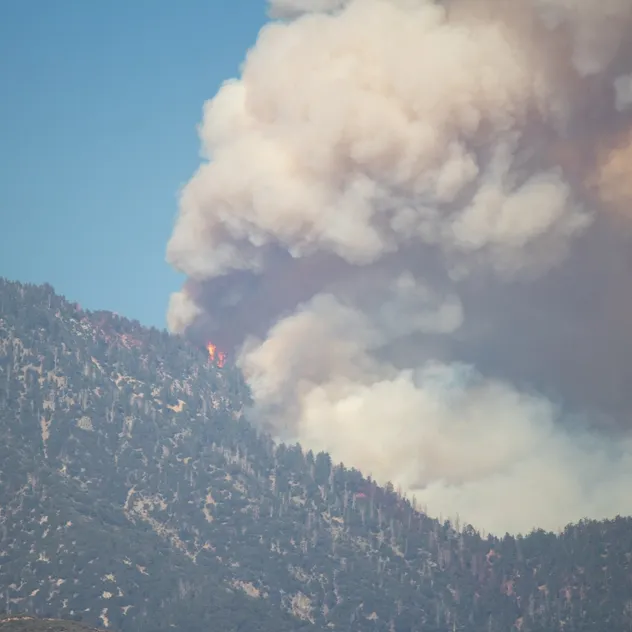 Outdoor Application 3