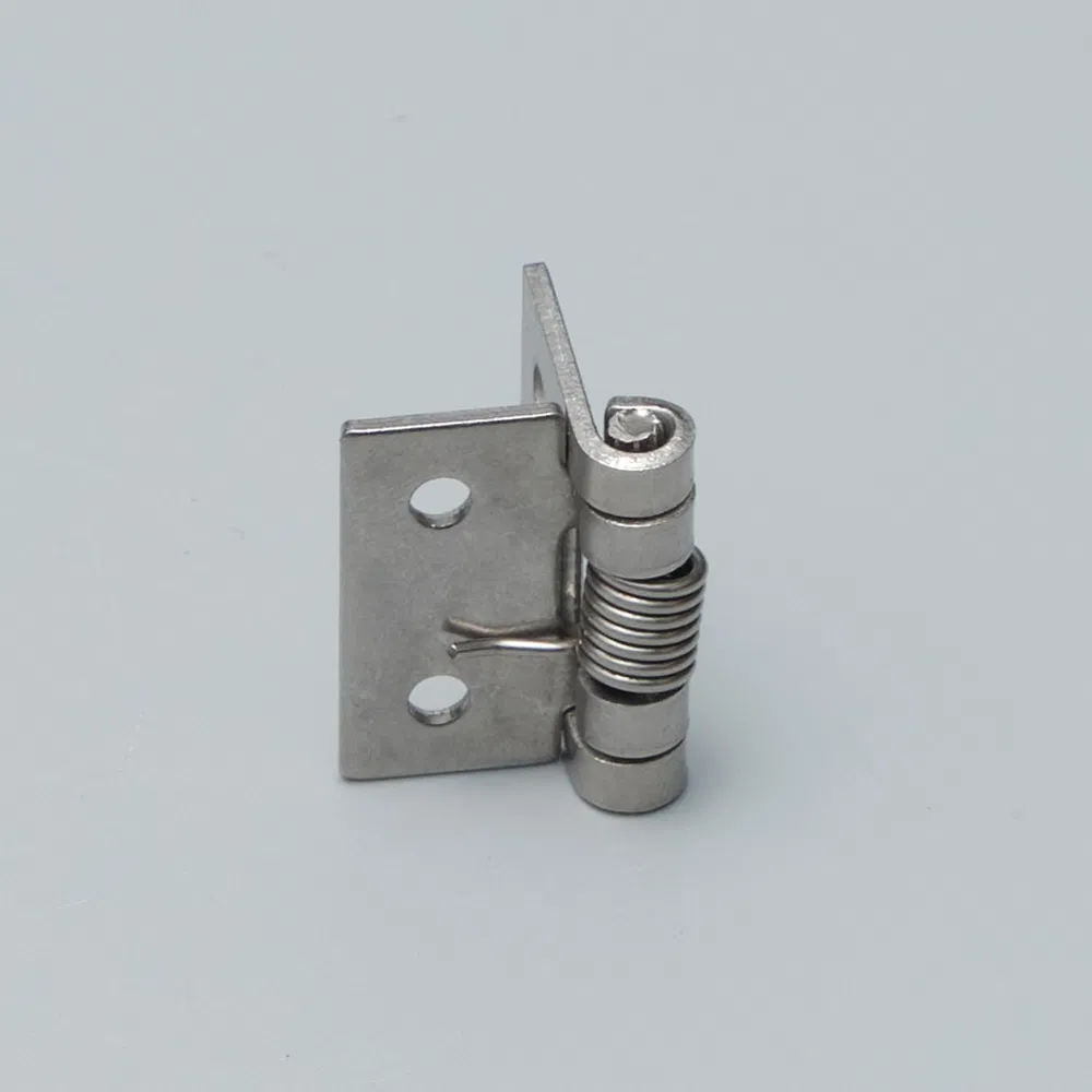 Coffee Table Concealed Spring Hinges for Cabinet Sofa Bed Wholesale Cheap Price 304 Stainless Steel Hinge