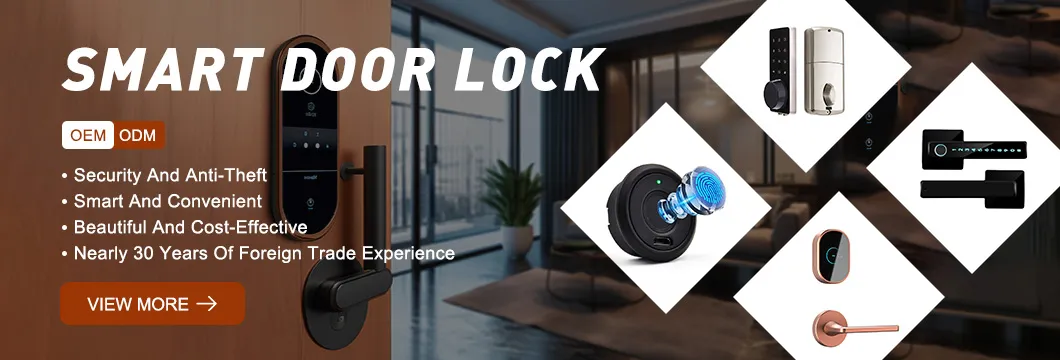 Smart Door Lock Overview