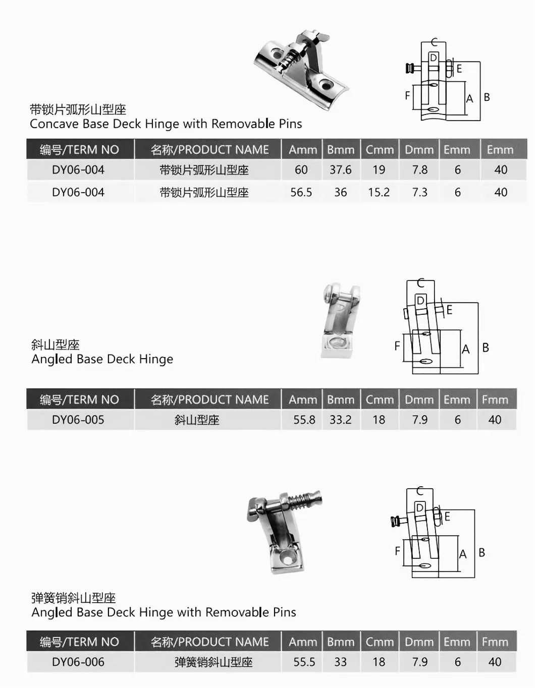 Polished Marine Hinge