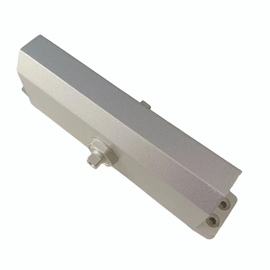 Door Closer Detail 5