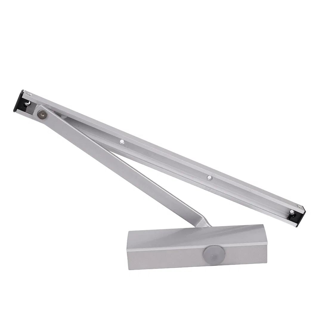 Concealed Door Closer Detail 5