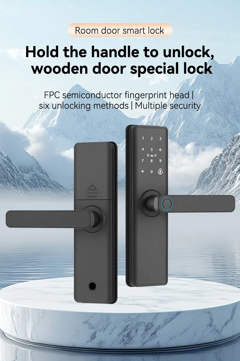 Smart Lock Detail 1