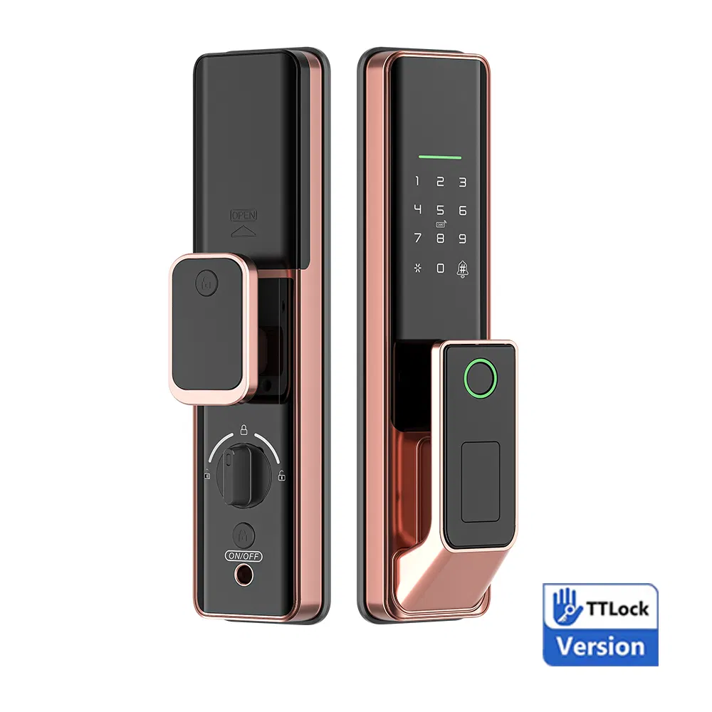 Premium Quality G1 Smart Push Pull Fingerprint Lock Electronic Biometric Digital Door Lock for Home