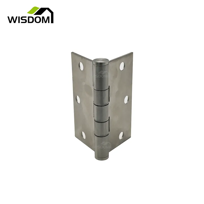 Stainless Steel Swinging Door Hinges 2