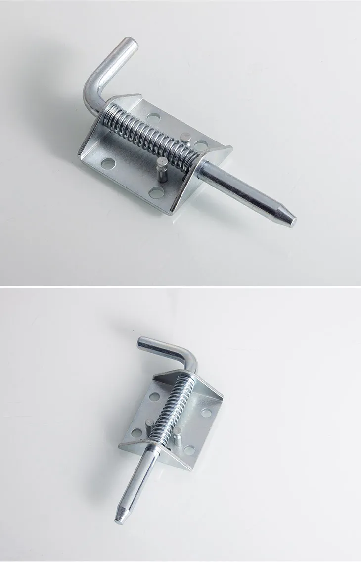 Spring Hinge Details