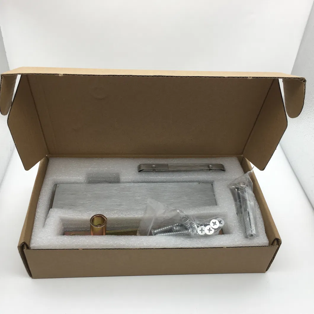 Floor Spring Closer 5