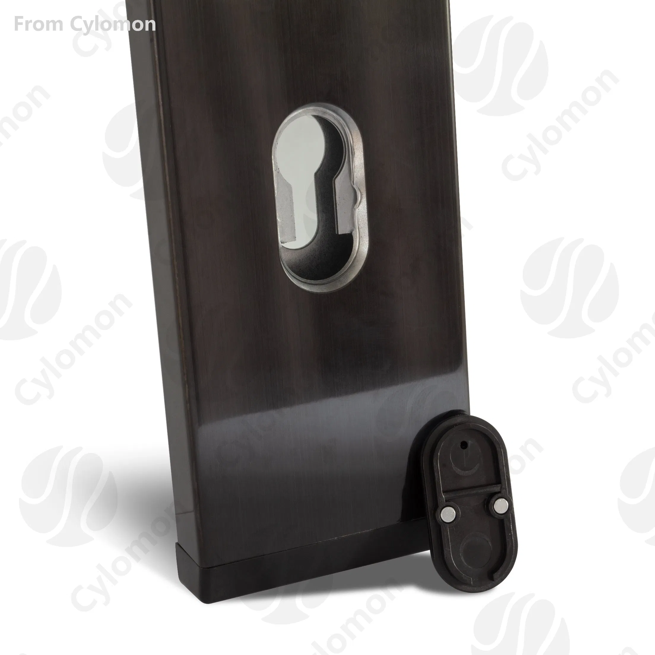 Advanced Electronic Security Smart Card Entry/Electric Keyless Home Hotel Intelligent Smart Door Lock Furniture Lever