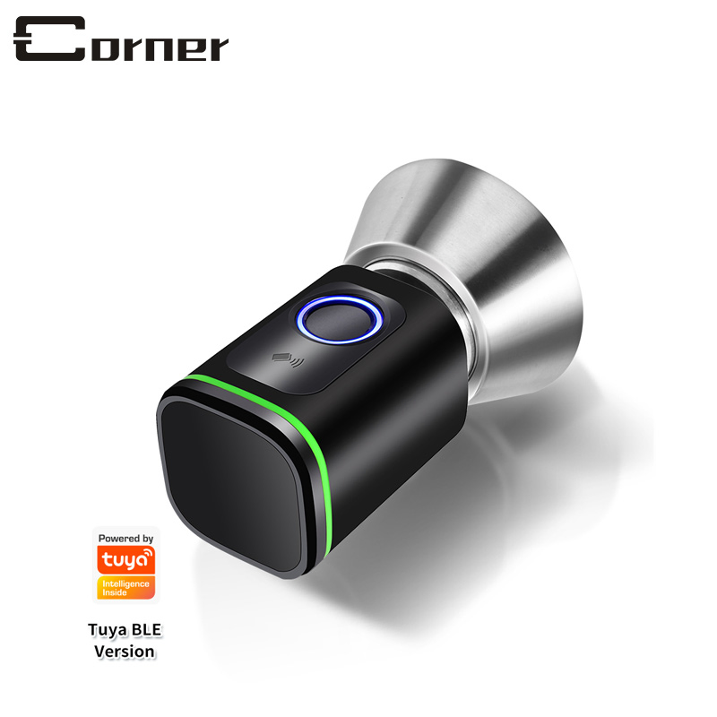 Mechanical Key Backup USB Charging Port Support Electronic Keyless APP Function Smart Door Lock