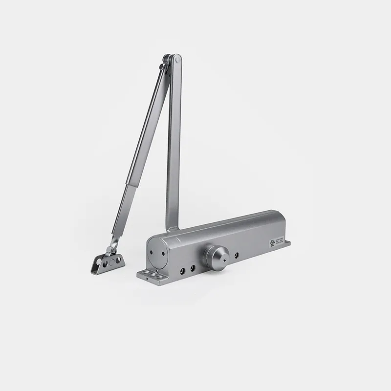 Door Closer Detail 1