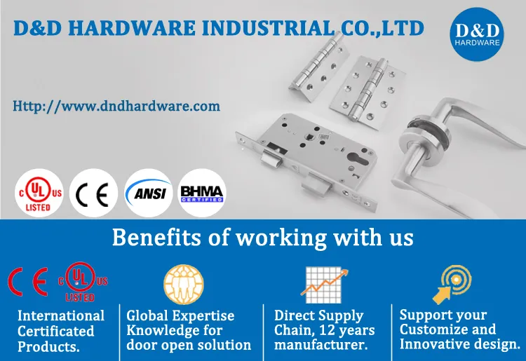 Stainless Steel Spring Hinge