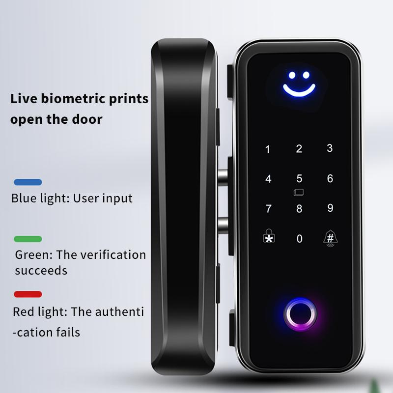 Zinc Fingerprint Password Smart Glass Door Lock for Home Apartment Office Door