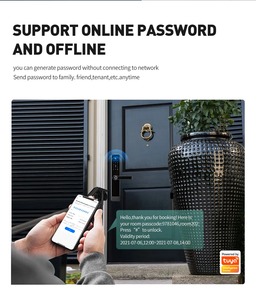 Electronic Digital Handle