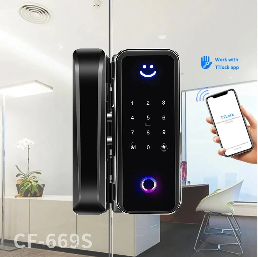 Smart Glass Door Lock 2
