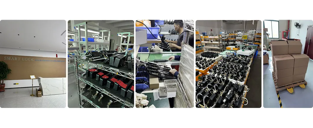 Smart Lock Feature 4