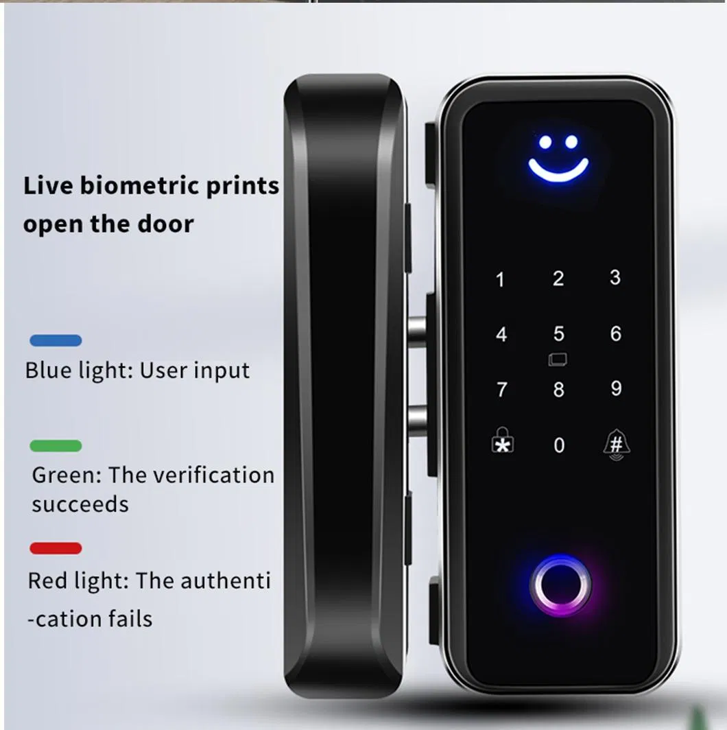 Smart Glass Door Lock 3