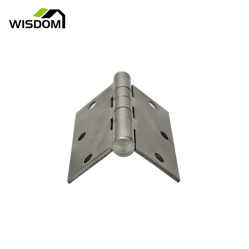Stainless Steel Swinging Door Hinges 3